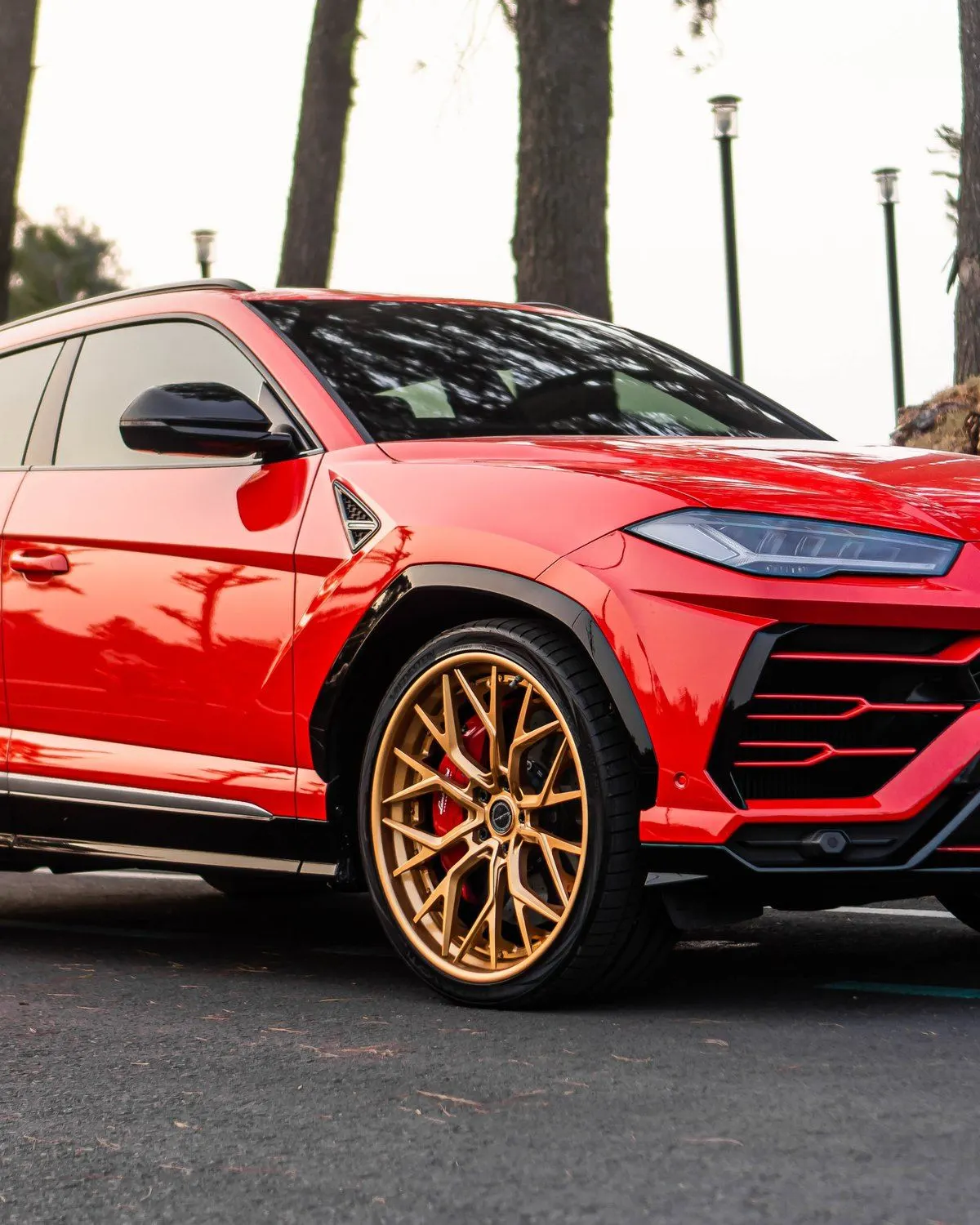 Lamborghini Urus, Full body PPF